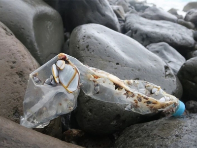 證明“海洋塑料”，需要遵循哪些標(biāo)準(zhǔn)？